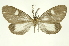  ( - INBIOCRI001973376)  @12 [ ] Copyright (2012) Juan Mata Lorenzen Unspecified