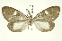  ( - INBIOCRI001973376)  @12 [ ] Copyright (2012) Juan Mata Lorenzen Unspecified