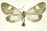  ( - INBIOCRI001973377)  @13 [ ] Copyright (2012) Juan Mata Lorenzen Unspecified