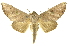  ( - INBIOCRI001985328)  @15 [ ] Copyright (2012) J. Montero INBio