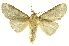  ( - INBIOCRI001988110)  @13 [ ] Copyright (2012) J. Montero INBio