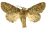  ( - INBIOCRI001992483)  @11 [ ] Copyright (2012) J. Montero INBio