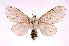  ( - INBIOCRI001996834)  @14 [ ] Copyright (2012) J. Montero Instituto Nacional de Biodiversidad