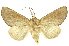  ( - INBIOCRI002015999)  @14 [ ] Copyright (2012) Juan Mata Lorenzen INBio