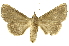  ( - INBIOCRI002016883)  @13 [ ] Copyright (2012) J. Montero INBio