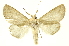  ( - INBIOCRI002019965)  @14 [ ] Copyright (2012) Juan Mata Lorenzen INBio