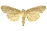  ( - INBIOCRI002022271)  @13 [ ] Copyright (2012) Juan Mata Lorenzen INBio