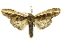  ( - INBIOCRI002024911)  @14 [ ] Copyright (2012) Juan Mata Lorenzen INBio