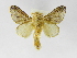  ( - INBIOCRI002033944)  @14 [ ] Copyright (2012) J. Montero Instituto Nacional de Biodiversidad