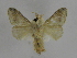  ( - INBIOCRI002040721)  @13 [ ] Copyright (2012) J. Montero Instituto Nacional de Biodiversidad