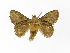  ( - INBIOCRI002092872)  @12 [ ] Copyright (2012) J. Montero Instituto Nacional de Biodiversidad