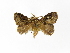  ( - INBIOCRI002109614)  @12 [ ] Copyright (2012) J. Montero Instituto Nacional de Biodiversidad