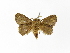  ( - INBIOCRI002109614)  @12 [ ] Copyright (2012) J. Montero Instituto Nacional de Biodiversidad