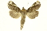 ( - INBIOCRI002109626)  @14 [ ] Copyright (2012) J. Montero INBio