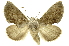  ( - INBIOCRI002114142)  @15 [ ] Copyright (2012) Juan Mata Lorenzen INBio