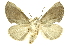  ( - INBIOCRI002114142)  @13 [ ] Copyright (2012) Juan Mata Lorenzen INBio