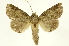  ( - INBIOCRI002114474)  @14 [ ] Copyright (2012) J. Montero INBio