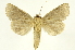  ( - INBIOCRI002114474)  @13 [ ] Copyright (2012) J. Montero INBio