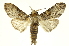  ( - INBIOCRI002118177)  @11 [ ] Copyright (2012) J. Montero INBio