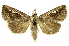  ( - INBIOCRI002119223)  @14 [ ] Copyright (2012) J. Montero INBio