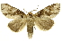  ( - INBIOCRI002139511)  @13 [ ] Copyright (2012) J. Montero INBio