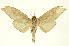  ( - INBIOCRI002192157)  @13 [ ] Copyright (2012) Juan Mata Lorenzen INBio