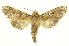  ( - INBIOCRI002197137)  @13 [ ] Copyright (2012) Juan Mata Lorenzen INBio