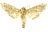  ( - INBIOCRI002197137)  @13 [ ] Copyright (2012) Juan Mata Lorenzen INBio