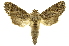  ( - INBIOCRI002209250)  @14 [ ] Copyright (2012) Juan Mata Lorenzen INBio