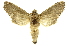  ( - INBIOCRI002209250)  @13 [ ] Copyright (2012) Juan Mata Lorenzen INBio