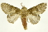  ( - INBIOCRI002209942)  @14 [ ] Copyright (2012) J. Montero INBio
