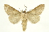  ( - INBIOCRI002209942)  @14 [ ] Copyright (2012) J. Montero INBio