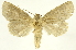  ( - INBIOCRI002212892)  @13 [ ] Copyright (2012) J. Montero INBio