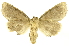  ( - INBIOCRI002213203)  @13 [ ] Copyright (2012) J. Montero INBio