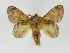  ( - INBIOCRI002218305)  @14 [ ] Copyright (2012) J. Montero Instituto Nacional de Biodiversidad