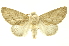  ( - INBIOCRI002218664)  @14 [ ] Copyright (2012) Juan Mata Lorenzen INBio