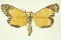  ( - INBIOCRI002226830)  @11 [ ] Copyright (2012) Juan Mata Lorenzen INBio