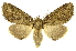  ( - INBIOCRI002253543)  @15 [ ] Copyright (2012) J. Montero INBio