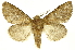  ( - INBIOCRI002312528)  @11 [ ] Copyright (2012) J. Montero INBio