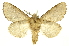  ( - INBIOCRI002312528)  @11 [ ] Copyright (2012) J. Montero INBio