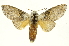  ( - INBIOCRI002339443)  @15 [ ] Copyright (2012) J. Montero INBio