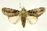  ( - INBIOCRI002351698)  @14 [ ] Copyright (2012) J. Montero INBio