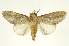  ( - INBIOCRI002351698)  @13 [ ] Copyright (2012) J. Montero INBio
