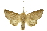 ( - INBIOCRI002356912)  @11 [ ] Copyright (2012) Juan Mata Lorenzen INBio