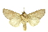  ( - INBIOCRI002356912)  @11 [ ] Copyright (2012) Juan Mata Lorenzen INBio