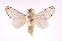  ( - INBIOCRI002357087)  @12 [ ] Copyright (2012) J. Montero Instituto Nacional de Biodiversidad