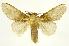  ( - INBIOCRI002358085)  @14 [ ] Copyright (2012) J. Montero INBio