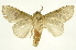  ( - INBIOCRI002364348)  @14 [ ] Copyright (2012) J. Montero INBio