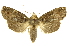  ( - INBIOCRI002365517)  @14 [ ] Copyright (2012) Juan Mata Lorenzen INBio