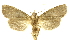  ( - INBIOCRI002365517)  @14 [ ] Copyright (2012) Juan Mata Lorenzen INBio